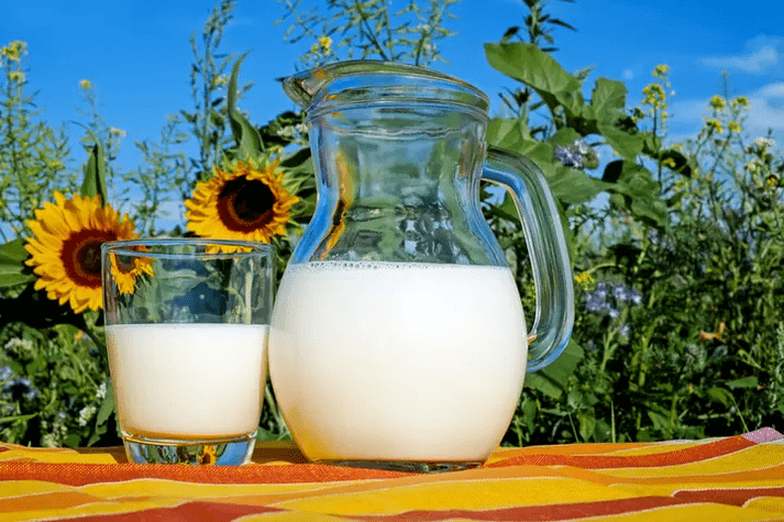 le lait est un aliment de base du régime Dukan